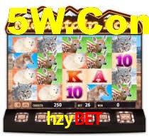 hzybet,hzybet.com